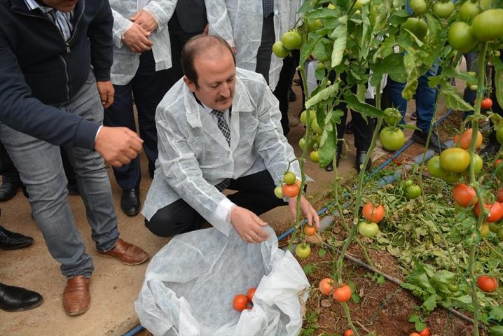 Devlet desteği ile kurdular 2 milyar dolarlık ihracat yaptılar