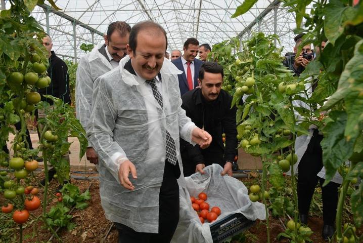 Devlet desteği ile kurdular 2 milyar dolarlık ihracat yaptılar