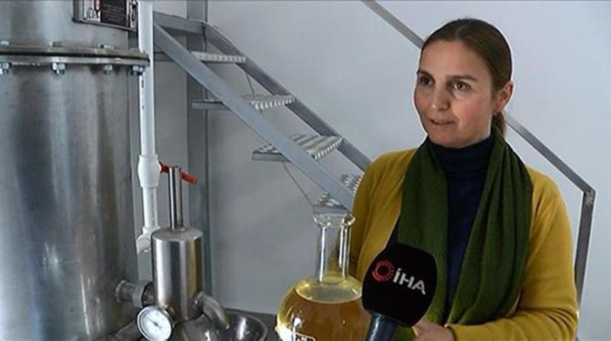 800 liralık lavanta çiçeğinden 20 bin liralık yağ elde ediyorlar