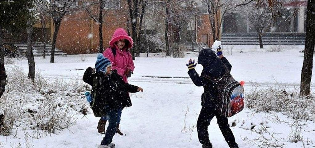 Eğitime kar engeli 13 Şubat 2020de okulların tatil olduğu iller