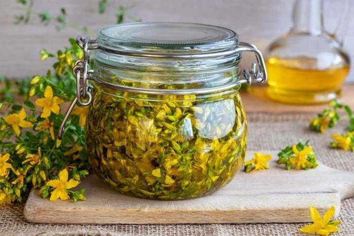 Sarı kantaron zehir mi şifa mı