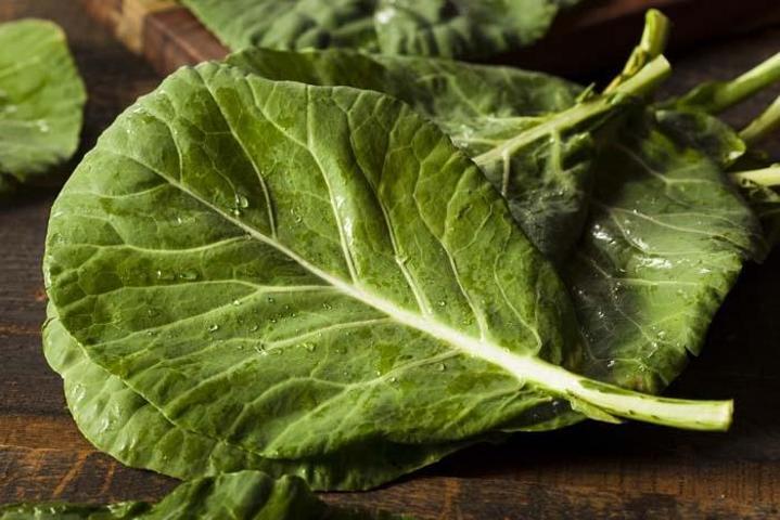Vücuttan toksinleri atıyor, virüslerle savaşıyor
