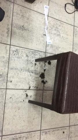 Kaçak tıraşa polis baskını
