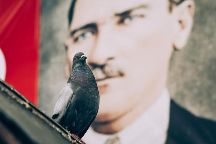 Resimli 19 Mayıs mesajları ve 19 Mayıs şiirleri ve mesajları: Bayramınız kutlu olsun