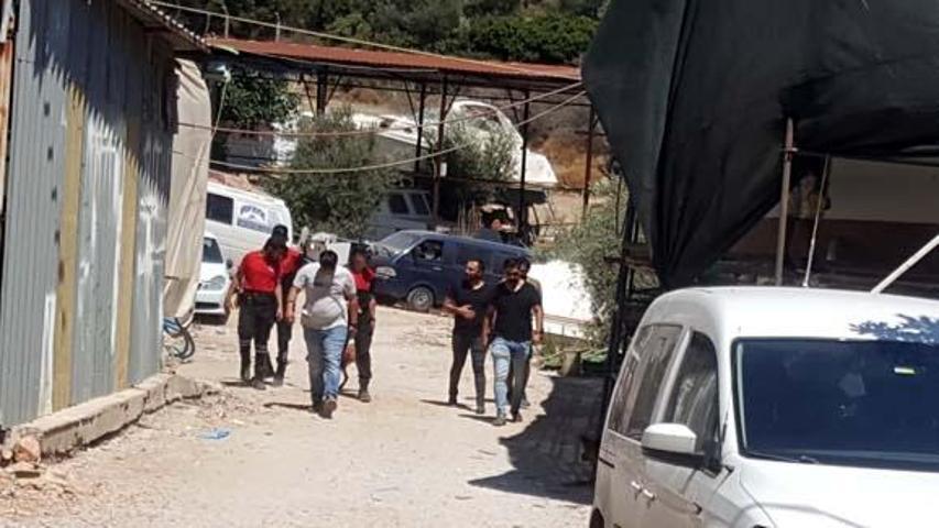 Tersane işçilerinin beslediği köpek, insana ait kafatası buldu