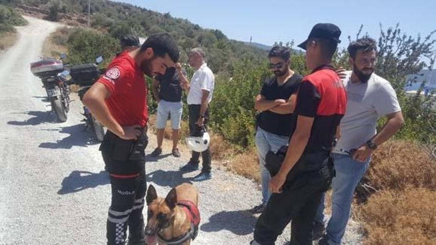 Tersane işçilerinin beslediği köpek, insana ait kafatası buldu