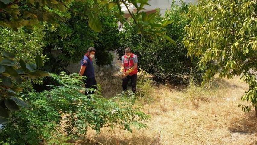Bahçede mahsur kalan 50 kaplumbağayı itfaiye kurtardı