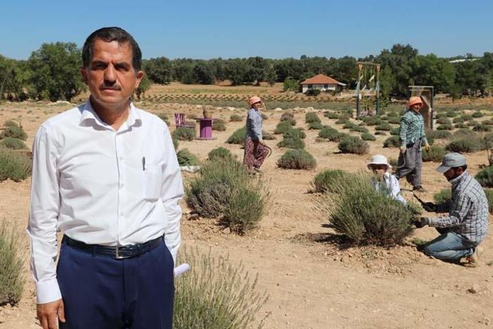 Nefes darlığı ve öksürüğe iyi geliyor Koronavirüs sonrası satışlar patladı