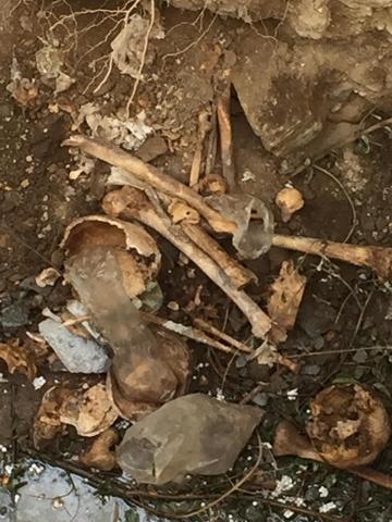 Şaşkınlık yaratan görüntü Heyelan sonrası inşaat temelinden çıktı