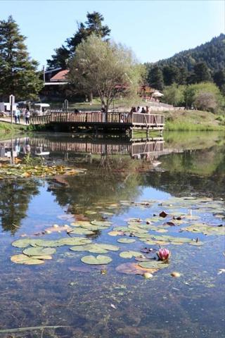 İstanbulun yanı başında Günübirlik tatil arayanların ilgi odağı oldu