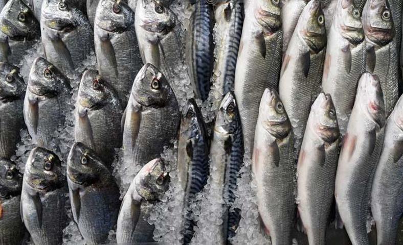 Koronavirüs sonrası vücut direncini artıran 10 besin
