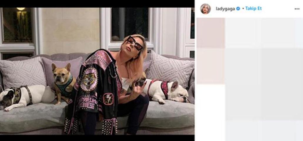 Lady Gagaya güzel haber Köpekleri bulundu