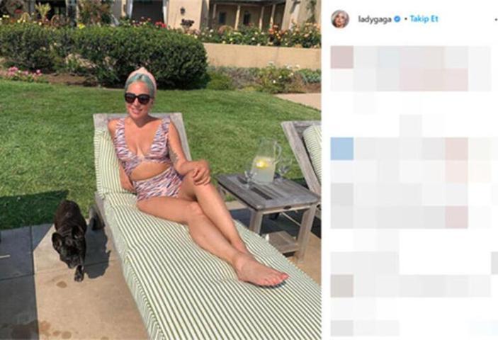 Lady Gagaya güzel haber Köpekleri bulundu