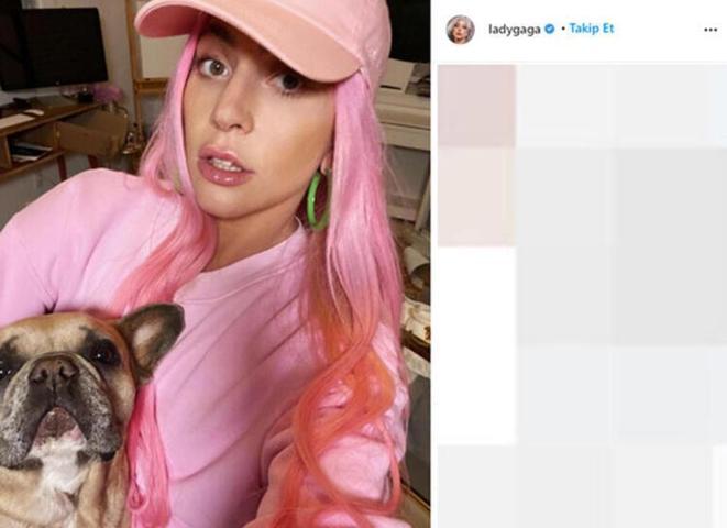 Lady Gagaya güzel haber Köpekleri bulundu