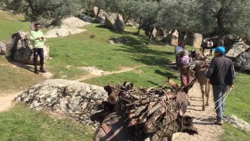 Bafa Gölü, doğaseverleri cezbediyor