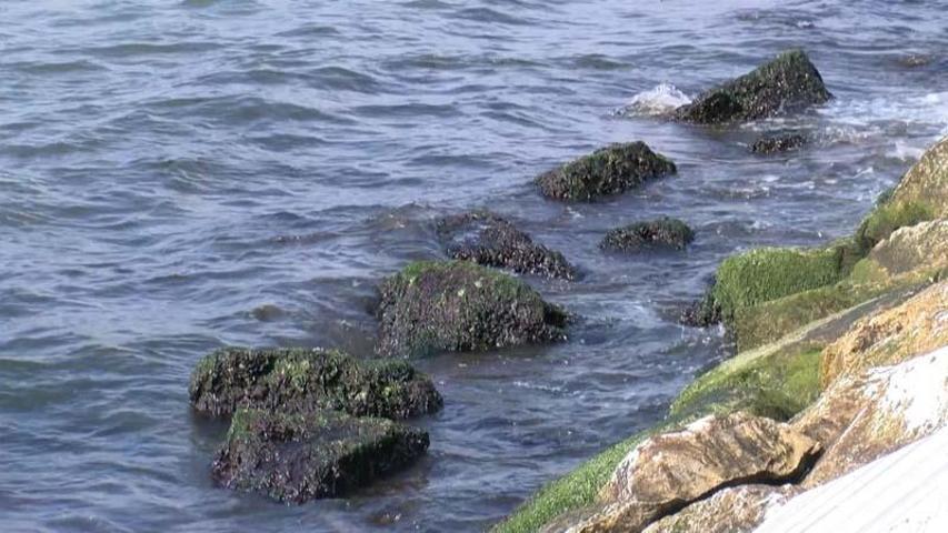 İstanbulda denizdeki çekilme korkuttu; uzmanından açıklama geldi
