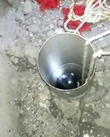 Havalandırma borusunda sıkışan yavru kedileri itfaiye kurtardı