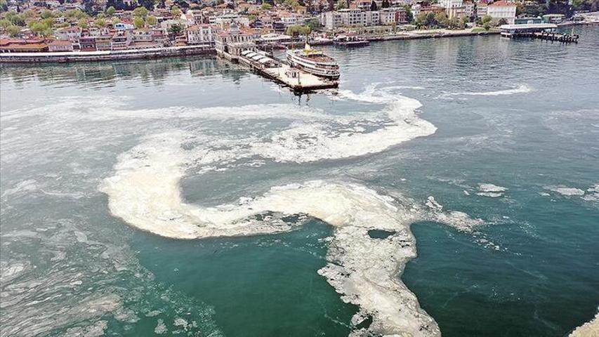 Hem Karadenize hem de Egeye doğru ilerliyor: Müsilaj nerelerde var İşte son durum