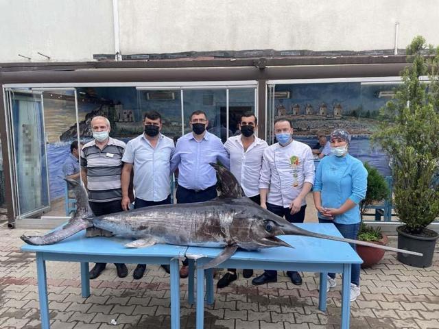Saros Körfezi’nde yakalanan dev kılıç balığı ilgi gördü