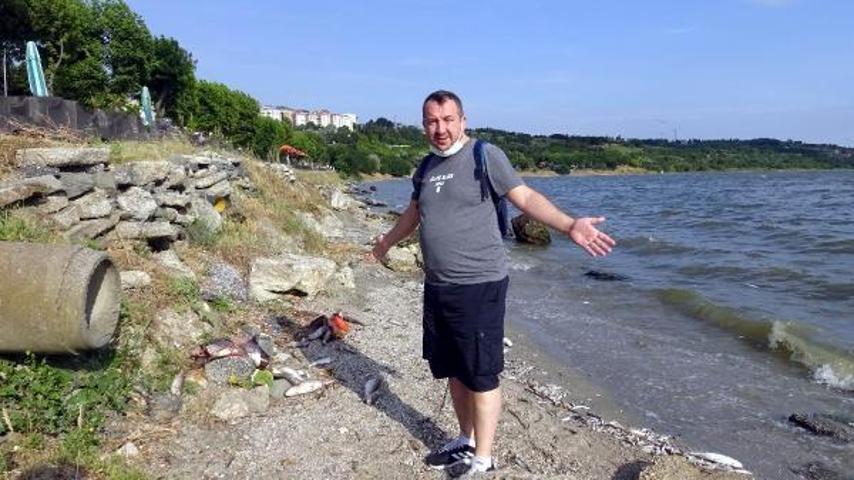 Küçükçekmece Gölü sahili ölü balık dolu