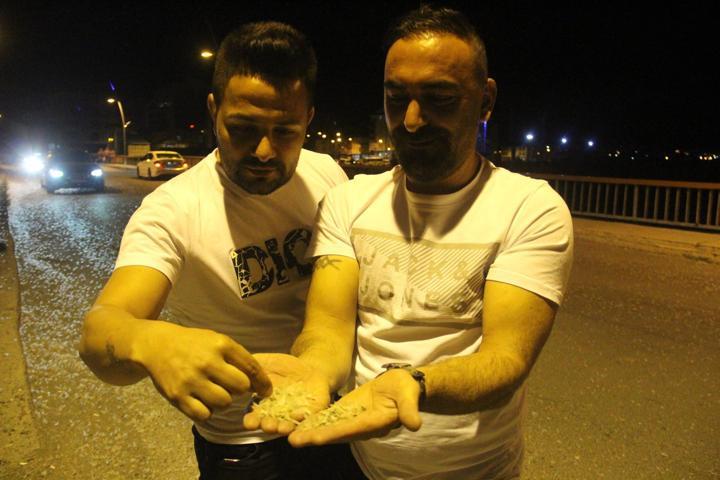 Ardahanda kelebeklerin ölüm dansı