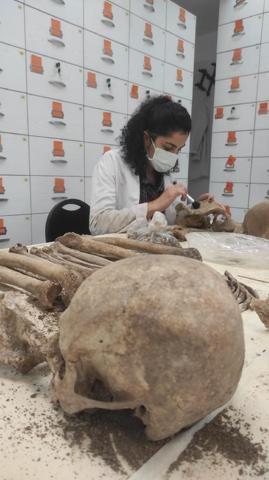 Hacettepenin antik DNA laboratuvarı neolitik döneme ışık tutuyor