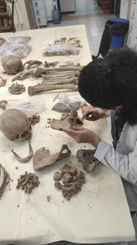Hacettepenin antik DNA laboratuvarı neolitik döneme ışık tutuyor