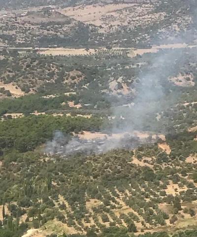 İzmirin Dikili ilçesinde orman yangını