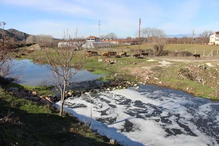 Türkiyenin tersine akar tek akarsuyu: Kirlilikten köpürdü