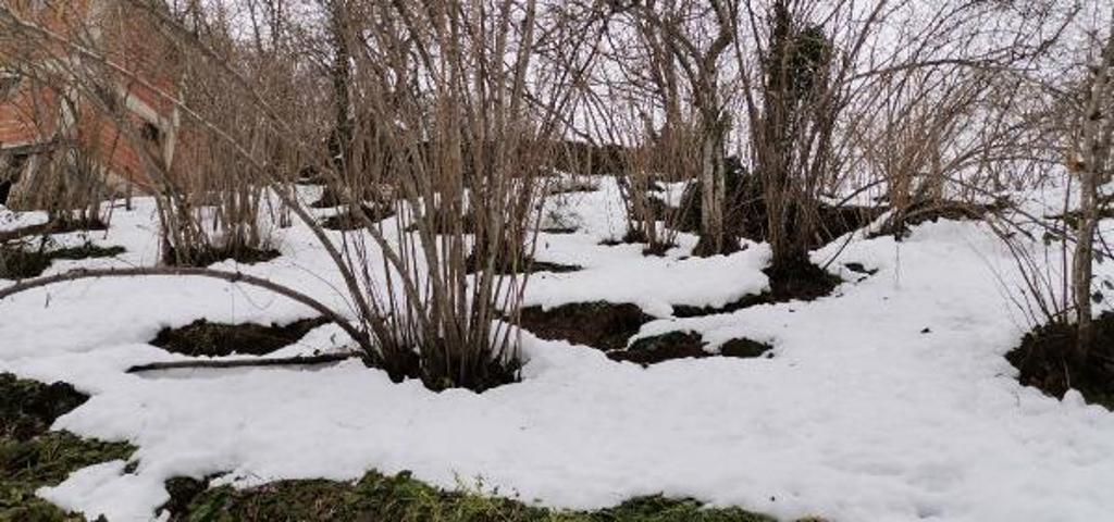 Mahallede heyelan: 2 ev boşaltıldı, 10 ev tehlike altında