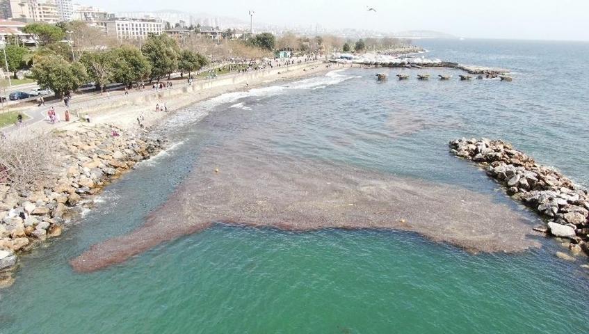 İstanbulda korkutan görüntü 2 metre çekildi