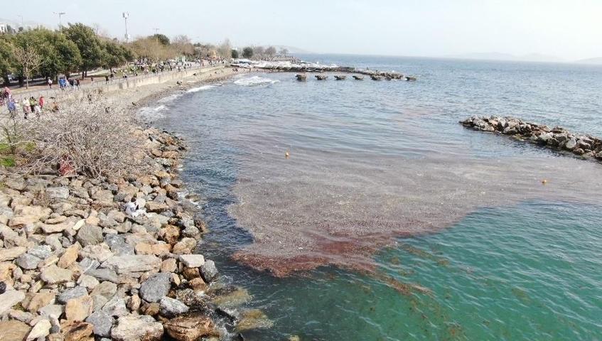 İstanbulda korkutan görüntü 2 metre çekildi