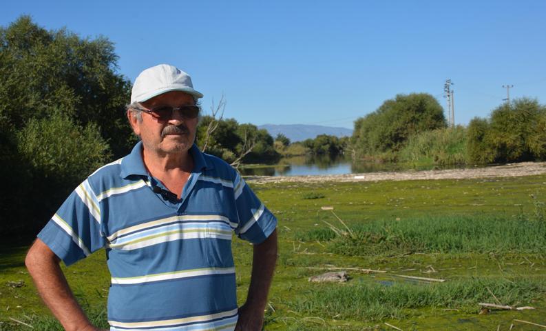 Bakırçayda korkutan manzara: Binlerce ölü balık kıyıya vurdu