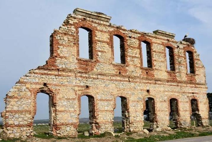 Uzman isimden küresel ısınma analizi: Leylekler etkilendi; çoğu erken geldi, bazıları göçmedi
