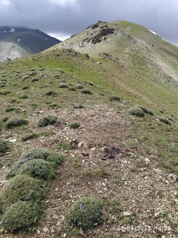 Vanda, üzerine yıldırım düşen 2 çoban yaralandı