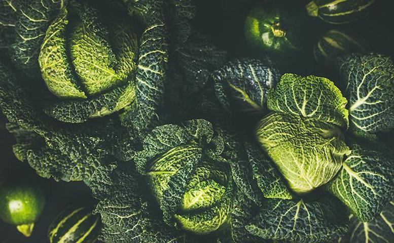 Tam bir vitamin deposu Bağışıklık sisteminizi zırh gibi koruyor