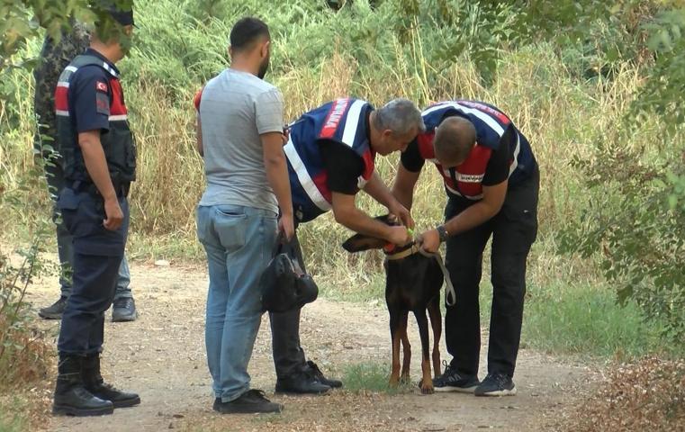 Tina 74 gün sonra döndü ama gizem çözülemedi GPS cihazı takıldı her seferinde eve döndü