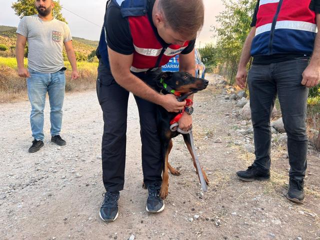 Tina 74 gün sonra döndü ama gizem çözülemedi GPS cihazı takıldı her seferinde eve döndü