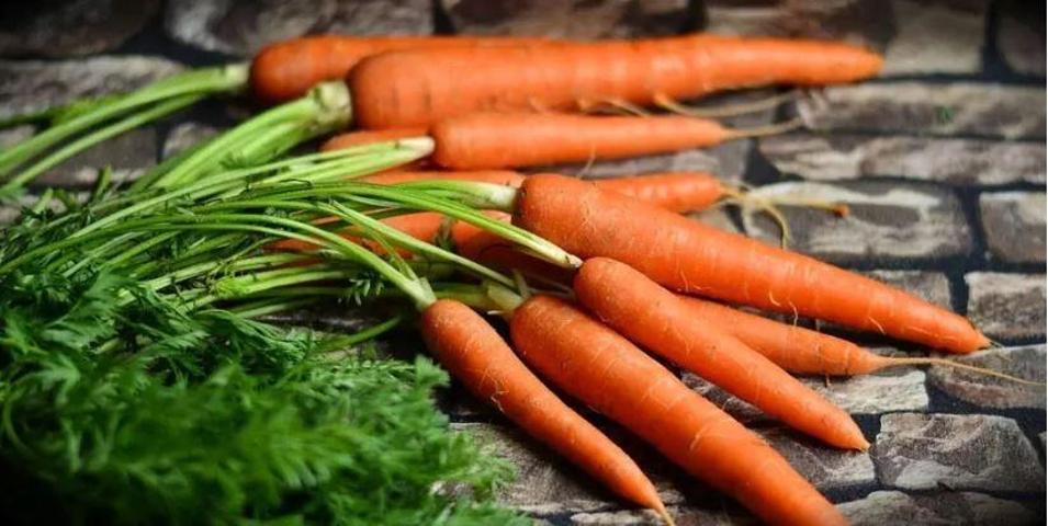 Kanser hücrelerinin yayılmasını anında durduruyor