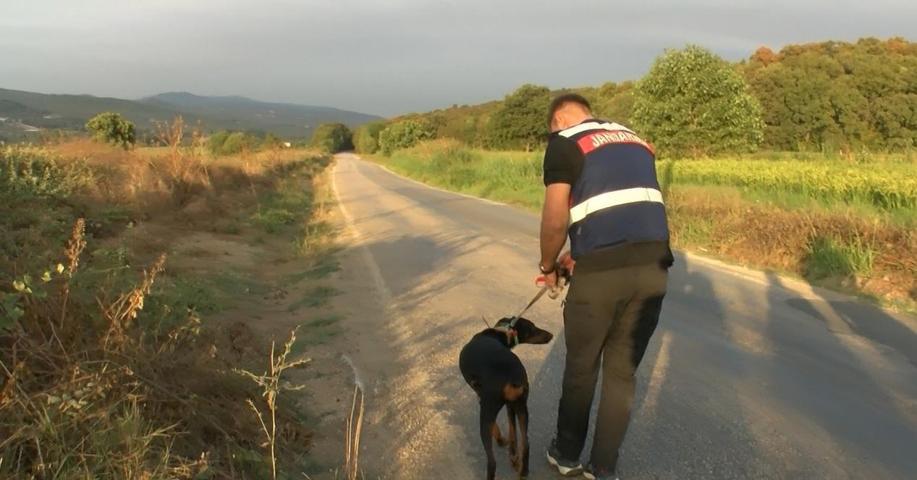 Korhan Berzeg sır oldu 74 gün sonra eve dönen Tinanın tahlil sonuçları belli oldu