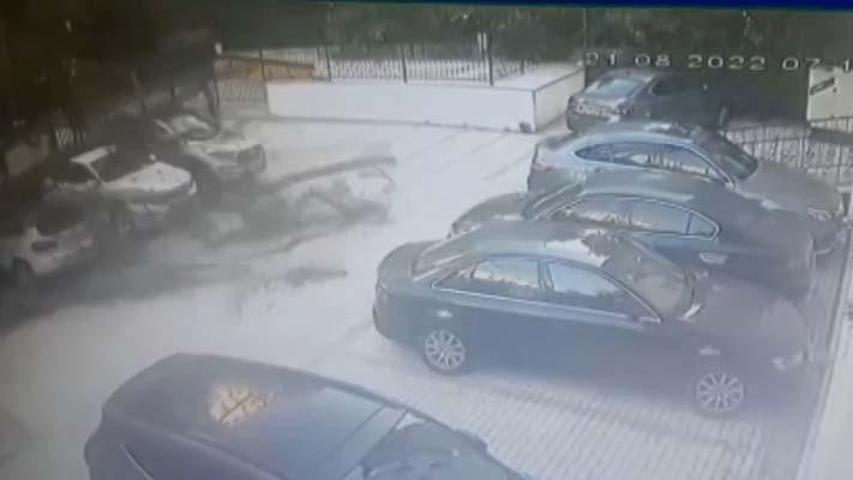 51 daireyi icralık eden ağaç