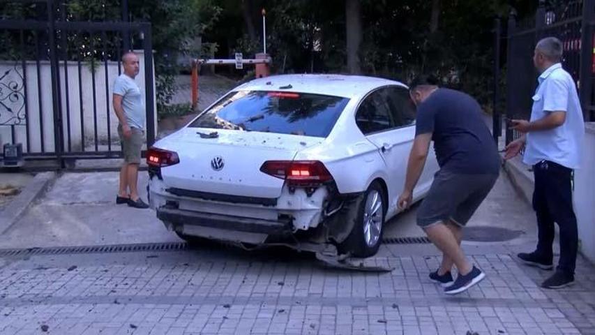 51 daireyi icralık eden ağaç