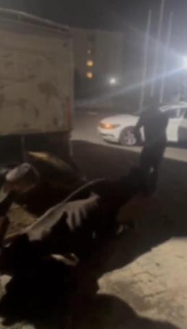 Son dakika haberi: Sakaryada tepki çeken olay İneğe içki içirip kayda aldılar