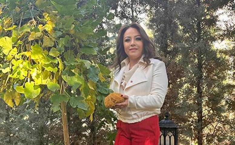 70 derdin devası: Öksürük, iltihap, boğaz ağrısı, soğuk algınlığı... Faydaları saymakla bitmiyor Meyan kökü nedir Meyan kökü nasıl kullanılır Zararı var mı