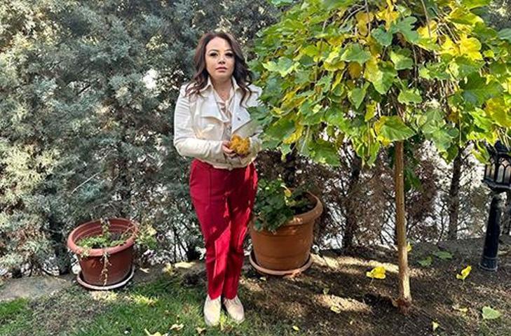 70 derdin devası: Öksürük, iltihap, boğaz ağrısı, soğuk algınlığı... Faydaları saymakla bitmiyor Meyan kökü nedir Meyan kökü nasıl kullanılır Zararı var mı