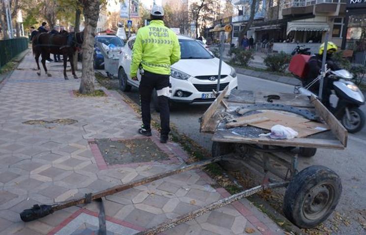 Edirnede ilginç olay Başıboş at terör estirdi