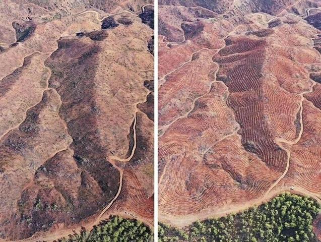 4 bin 392 hektarlık alan küle dönmüştü: 2 yıllık çaba sonuç verdi, Marmaris yeniden yeşillendi