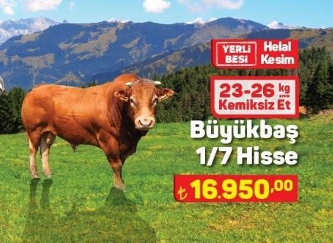 A101 kurbanlık koyun, koç (küçükbaş) fiyatı 2024 A101 büyükbaş hisse fiyatı ne kadar, kaç TL