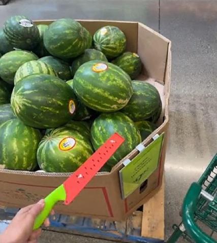 Yapay zeka ile karpuz seçti, TikToku salladı ‘Bu uygulamanın doğru partner seçeni var mı’