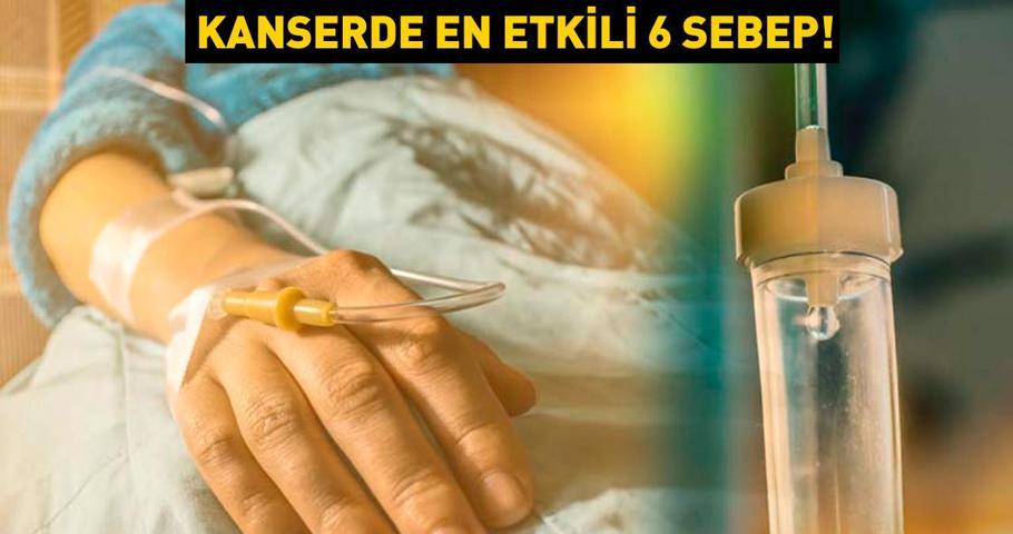 Yeni araştırma: 30 yaş üstü her 10 kanser vakasının 4ünde tespit edildi İşte kanserde en etkili 6 sebep